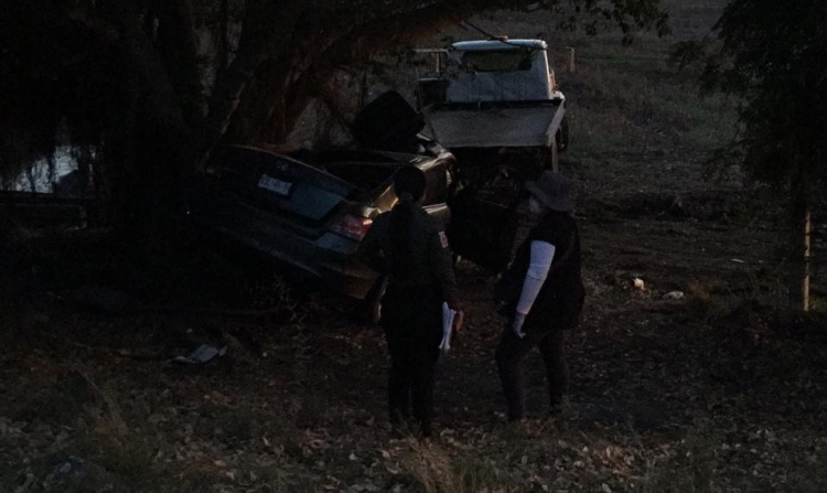 Mueren dos hombre al chocar en un auto con un arbol por la carretera Culiacán-Mazatlán