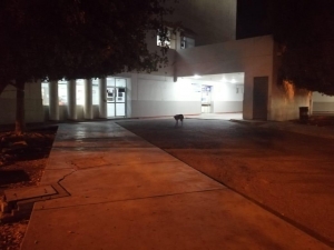 Menor estadounidense muere ahogado en la zona de La Escopama, en Mazatl&aacute;n