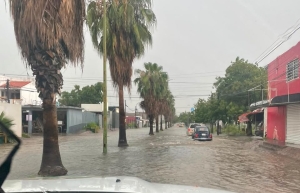 Lluvias dejan viviendas inundadas, veh&iacute;culos atrapados, &aacute;rboles y postes ca&iacute;dos: PC municipal