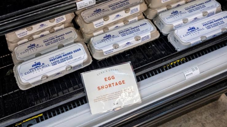 Alza del precio del huevo en EEUU podría impactar en la Pascua
