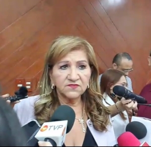 Pese a discrepancias del PRI y PAN, la reforma electoral la resolver&aacute; el Congreso de la Uni&oacute;n: Diputada local Tere Guerra