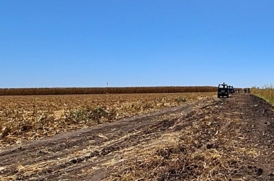 En estado cadav&eacute;rico localizan a una mujer en un campo agricola de Villa Ju&aacute;rez, Navolato
