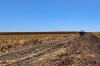 En estado cadavérico localizan a una mujer en un campo agricola de Villa Juárez, Navolato