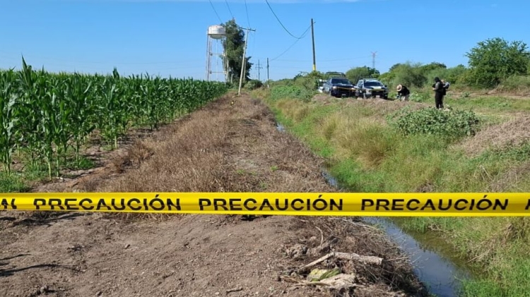 RESUMEN: 8 personas asesinadas, una 'levantada' y un auto robado en Sinaloa, el saldo rojo del 01 Enero 2026