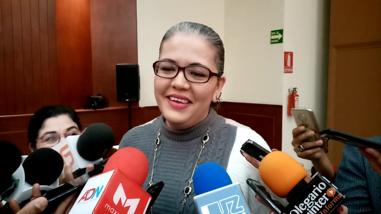 Tatiana Clouthier es un excelente cuadro de Morena: Dom&iacute;nguez Nava
