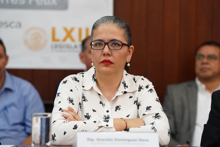 Con sana distancia, el Congreso del Estado contin&uacute;a sus labores: Graciela Dom&iacute;nguez