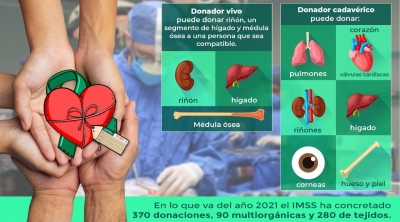 Realiza el IMSS el 46 por ciento de los trasplantes en M&eacute;xico