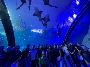 Sorprende a periodistas de Fapermex y Conalipe el Gran Acuario Mazatl&aacute;n: Un Aula Viva para el Aprendizaje