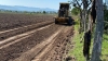 Muere trabajador arrollado por un tractor en una parcela junto al poblado La Michoacana