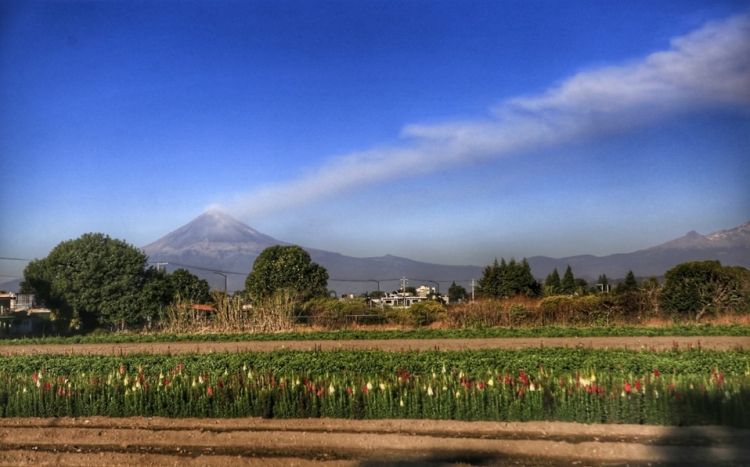 Volcán Popocatépetl emite una explosión con columna de ceniza de casi 1 km