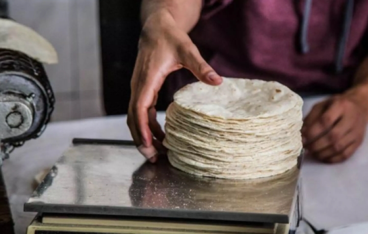 Urge que el Gobierno del Estado intervenga ante los incrementos en el precio de tortilla, para evitar que los industriales se vayan por la libre