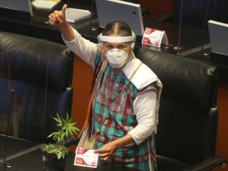 El Senado aprobó la legalización de la marihuana 