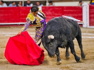 Joselito Adame sufre conmoci&oacute;n cerebral tras cornada en Aguascalientes