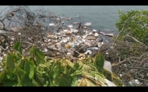 Fuerte contaminaci&oacute;n registra el Estero del Infiernillo