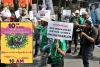 Nada que festejar: Madres Buscadoras encabezan la XIV Marcha de la Dignidad Nacional en CDMX