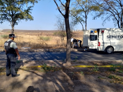 RESUMEN: 3 personas asesinadas, una &#039;levantada&#039; y 9 autos robados en Sinaloa, el saldo rojo del 08 Abril 2025