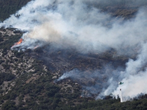 Espa&ntilde;a combate incendios forestales bajo ola de calor