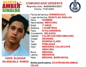 &iexcl;Ayuda a localizar a David Eleazar!