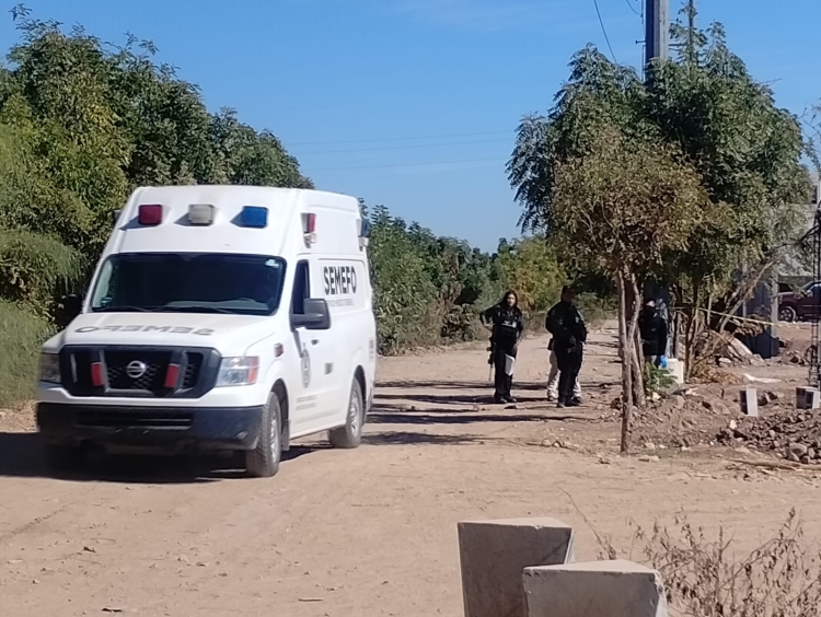 RESUMEN: 5 personas asesinadas, 5 &#039;levantadas&#039; y 9 autos robados en Sinaloa, el saldo rojo del 12 Marzo 2025