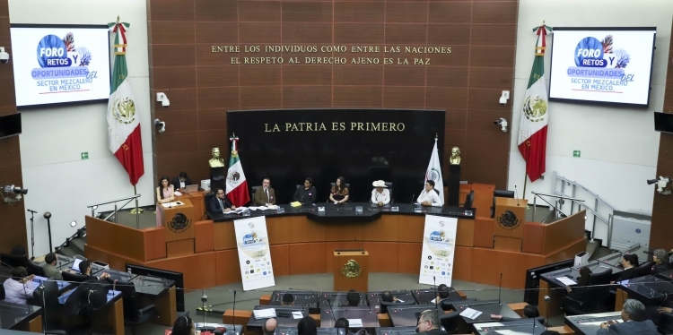 Austeridad del Senado dispara el gasto en 74.7 por ciento por creaci&oacute;n de comisiones