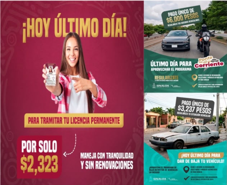 &iexcl;&Uacute;ltimas horas para tu licencia permanente, hoy!