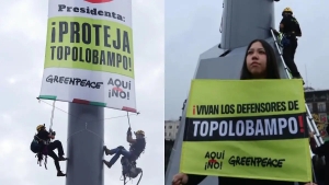 Con protestas en el Z&oacute;calo, Greenpeace y comunidades sinaloenses exigen a Sheinbaum cancelar Megaplanta de Amoniaco en Topolobampo, Sinaloa