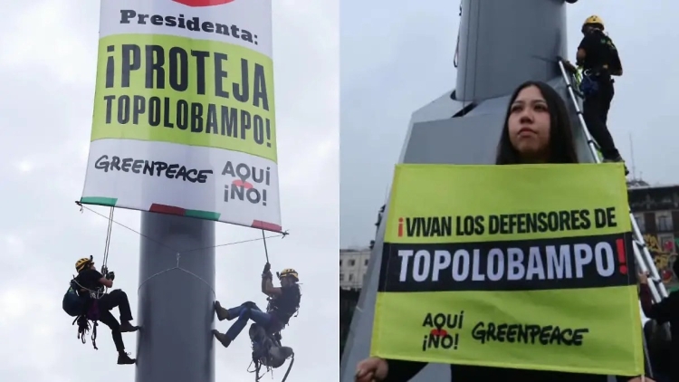 Con protestas en el Z&oacute;calo, Greenpeace y comunidades sinaloenses exigen a Sheinbaum cancelar Megaplanta de Amoniaco en Topolobampo, Sinaloa