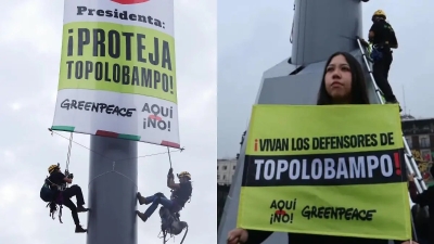 Con protestas en el Z&oacute;calo, Greenpeace y comunidades sinaloenses exigen a Sheinbaum cancelar Megaplanta de Amoniaco en Topolobampo, Sinaloa