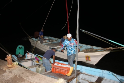 Ribere&ntilde;os de Sinaloa se lanzan por el camar&oacute;n