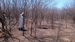 Ratreadores localizaron una osamenta humana cerca de La Cuetera, al sur de Culiac&aacute;n