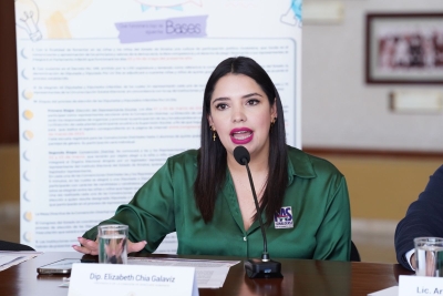 La congeladora del Congreso pas&oacute; a ser cementerio de las iniciativas de ley: Diputada Ch&iacute;a Galaviz