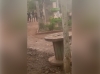 Reporte de balacera en El Bledal, Navolato moviliza a las fuerzas de seguridad, este jueves