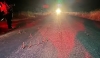 Sin personas lesionadas, unos 15 veh&iacute;culos y cinco tractocamiones afectados fue el resultado del arrojo de poncha llantas en la autopista Culiac&aacute;n-Mazatl&aacute;n