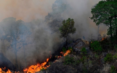Hidalgo ha registrado cuatro incendios en hierbas y arbustos en lo que va de 2022