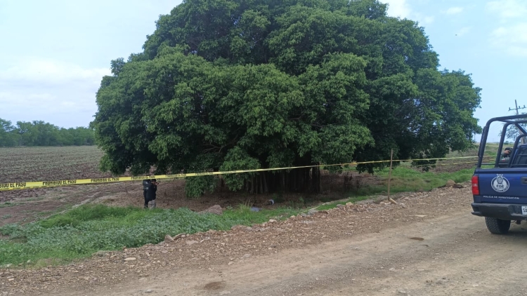 Un hombre es asesinado debajo de un árbol en las cercanías del Seminario