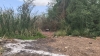 Localizan Sabuesos Guerreras el cuerpo de una mujer asesinada atrás de Stanza Granada