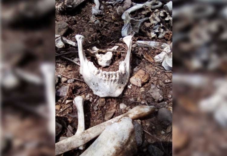 Localizan seis cuerpos en Laguna de Juan Jos&eacute; R&iacute;os