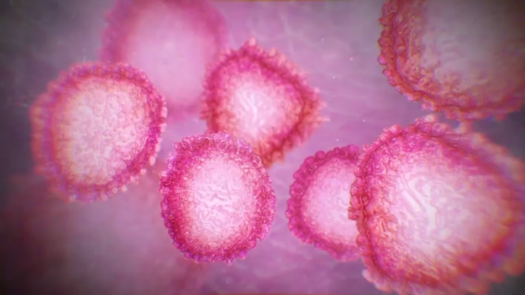 Se confirma el primer caso de coronavirus en California E.U.