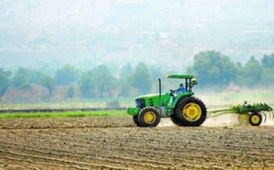 Se perder&aacute;n 4 millones de toneladas de granos por falta de agua