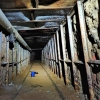 Desmantela t&uacute;nel del CJNG entre Tijuana y San Diego para traficar coca&iacute;na, se&ntilde;ala Departamento de Justicia