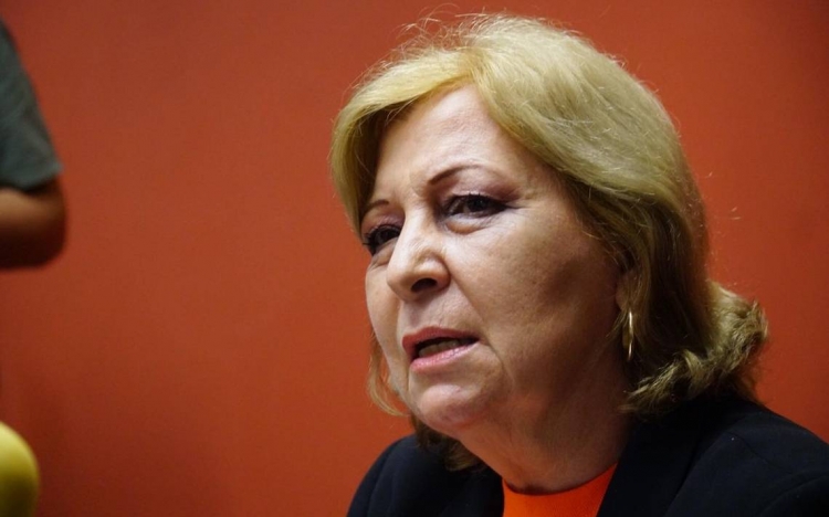 Combatir la violencia en mujeres aument&oacute; la burla, considera diputada