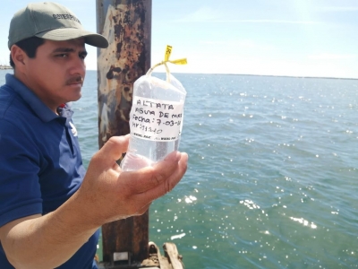 Playas de Sinaloa son aptas para ba&ntilde;arse
