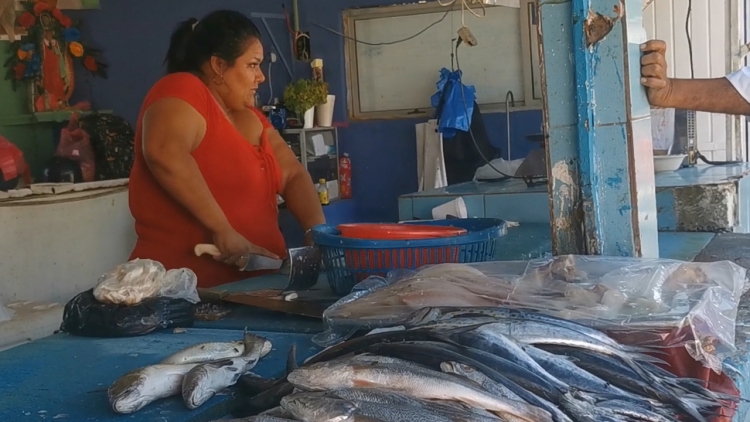 Pescadores de la Isla reportan bajas ventas