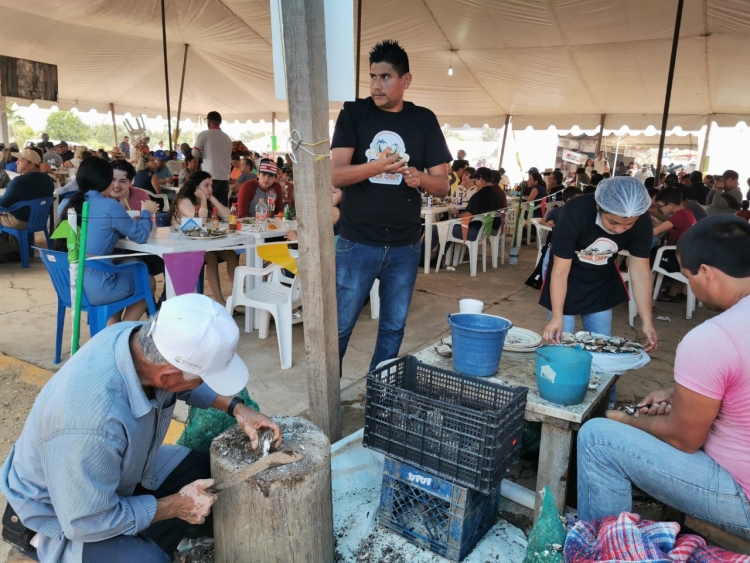 &iexcl;Inicia la cuarta edici&oacute;n de la Feria del Osti&oacute;n