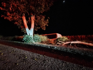 Chofer de autob&uacute;s result&oacute; lesionado en accidente sobre la carretera La Costera en Navolato