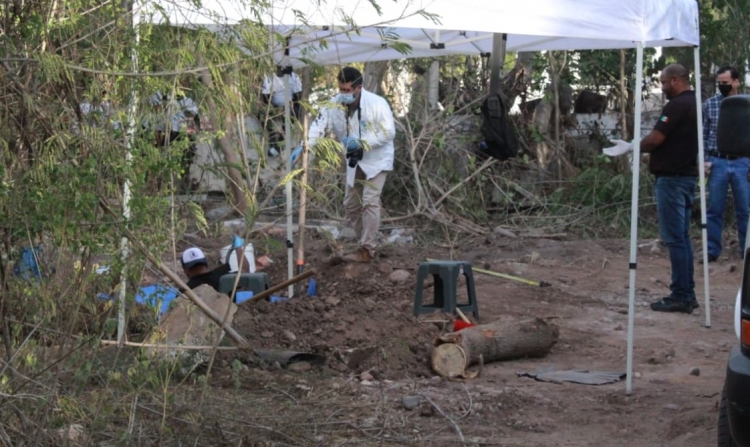 Sabuesas Guerreras, localizan tres osamentas en un predio de Culiacancito