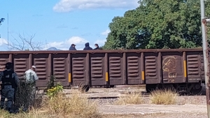 Detienen a 40 centroamericanos que viajaban en los vagones del tren en forma ilegal, en Culiacán