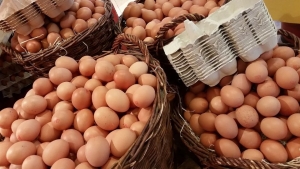 Se dispara el contrabando de huevos de M&eacute;xico hacia Estados Unidos: all&aacute; una docena cuesta $152 pesos