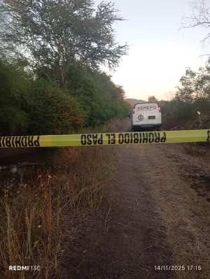 Resumen: 2 personas asesinadas, 12 vehículos robados y tres 'levantados', ayer: Fiscalía