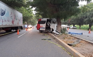 Chofer de Bux Puntual muere en choque  de camión contra un árbol, en Navolato